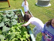 Zahradničíme ve školce